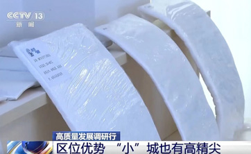 央视专访-高质量发展调研行-广东太阳集团tyc4633气凝胶